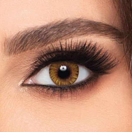 Freshlook One Day Pure Hazel 10s